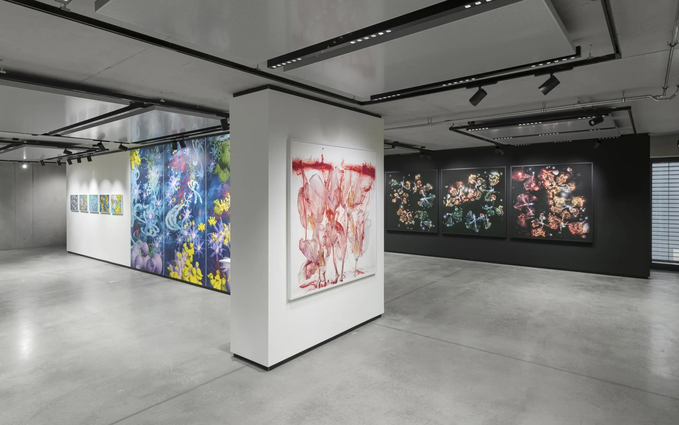 Bergson Gallery im Erd- & Zwischengeschoss im Neubau